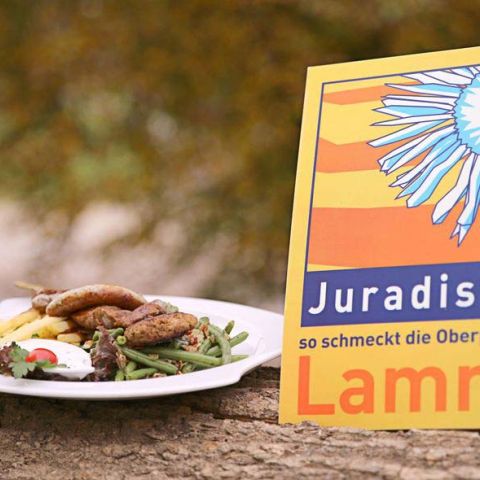 Projekt Juradistl Lamm