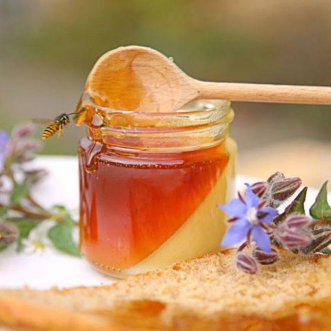 Kloster Ensdorf Zwiefacher Honig