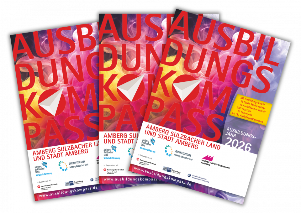 Titel Ausbildungskompass gefächert 2025 für 2026